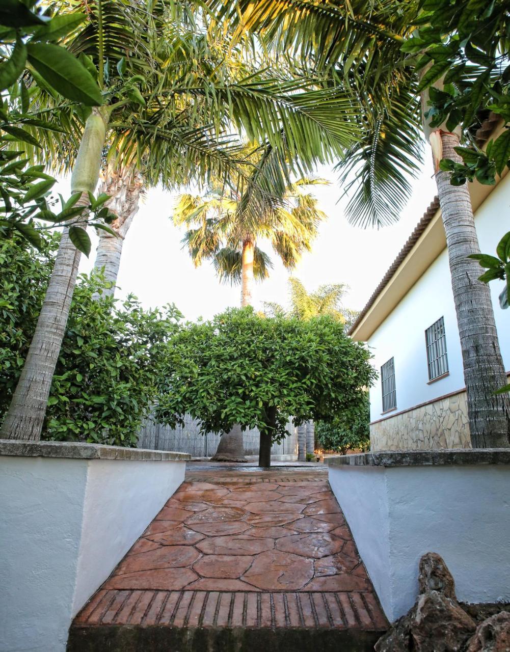 Casa Rural Típica Andaluza Alhaurín el Grande Exterior foto