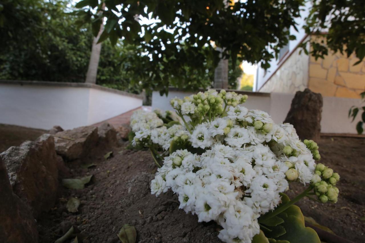 Casa Rural Típica Andaluza Alhaurín el Grande Exterior foto